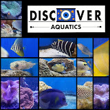 discoveraquaticsshop.com