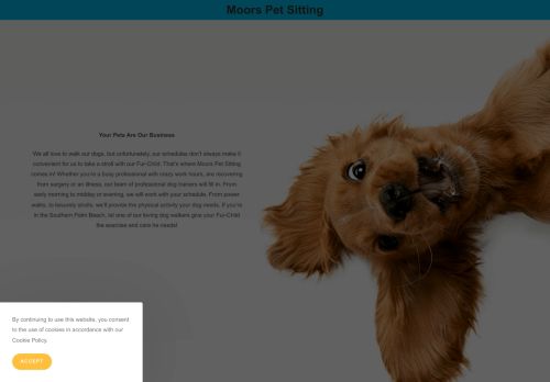 www.moorspetsitting.com