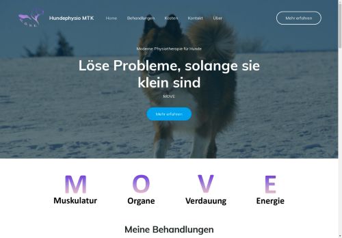 hundephysio-mtk.de