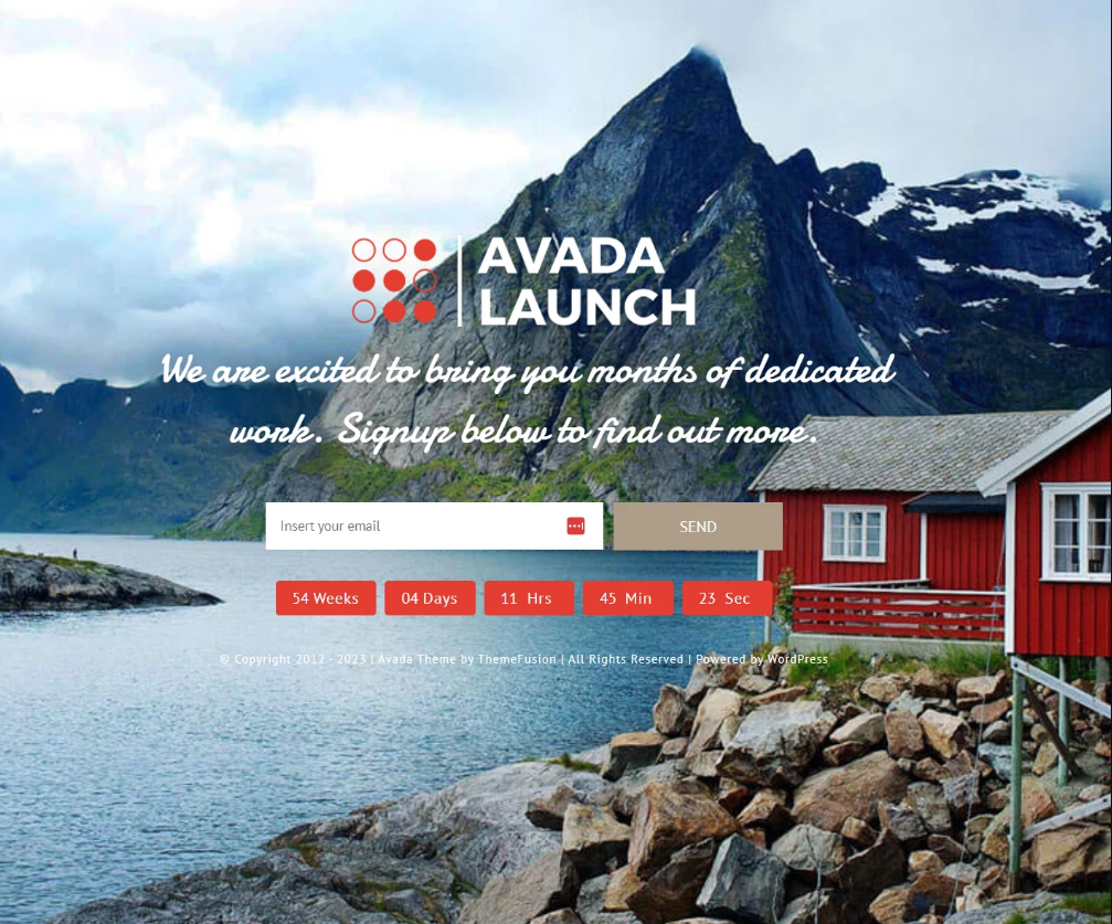 professional countdown display for your visitors